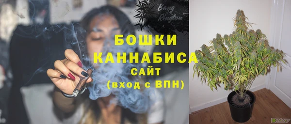молекула духа Рославль