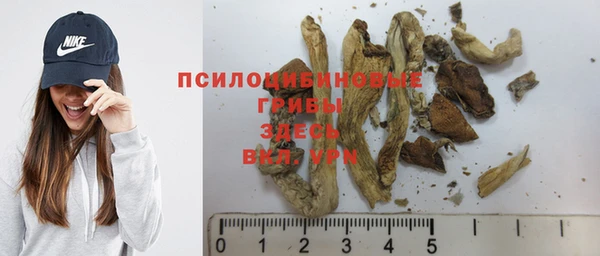 mdpv Саяногорск